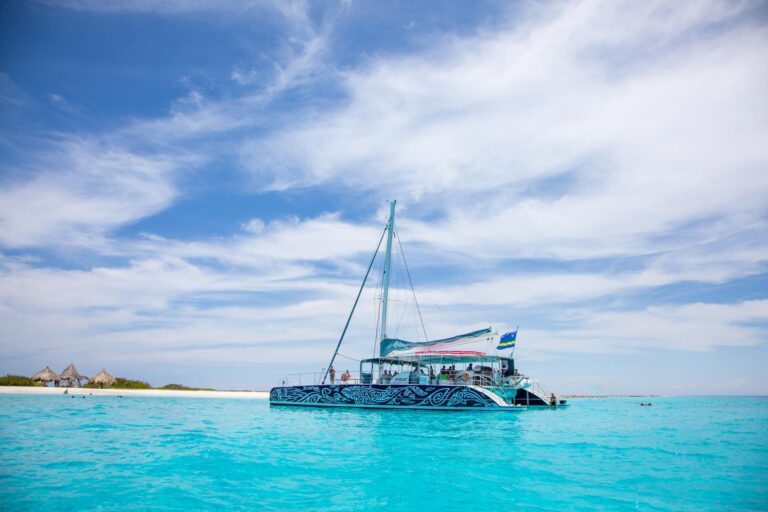 boat trip bluefinn charters