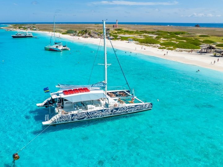 klein curacao bluefinn