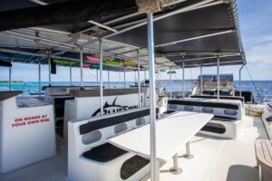 seats bluefinn catamaran