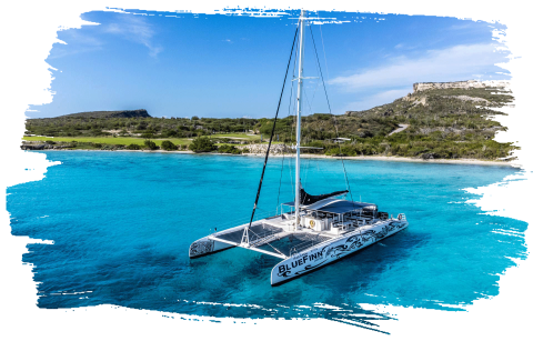 black & white catamaran