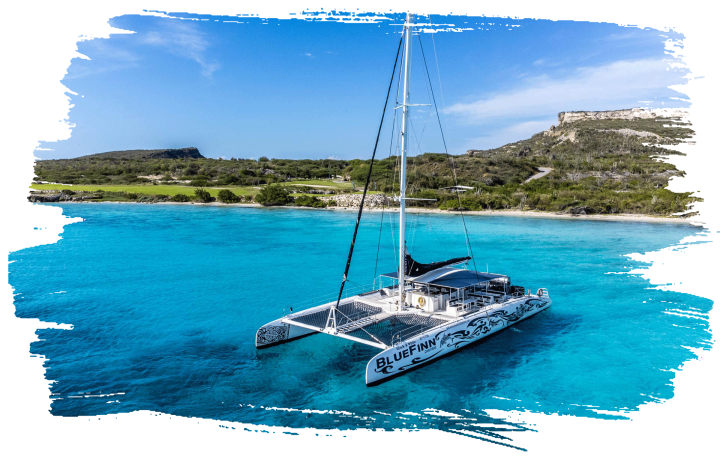 black & white catamaran