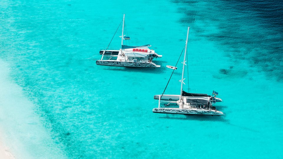 Bluefinn Charter Catamarans