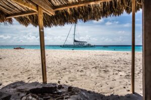 bluefinn charters at klein