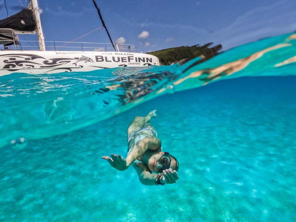 bluefinn snorkeling