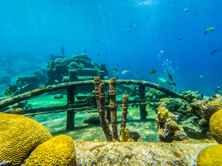 snorkel saba wreck