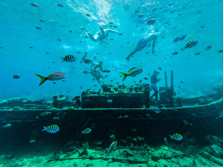 snorkeling tugboat wreck
