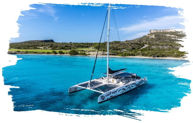 black & white catamaran