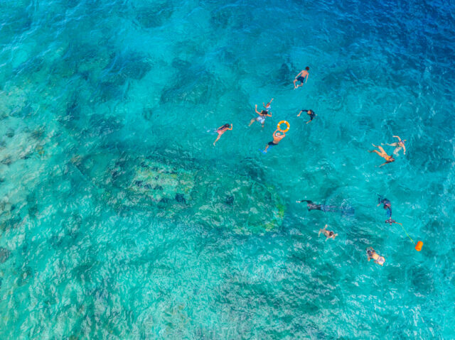 People snorkeling in blue water