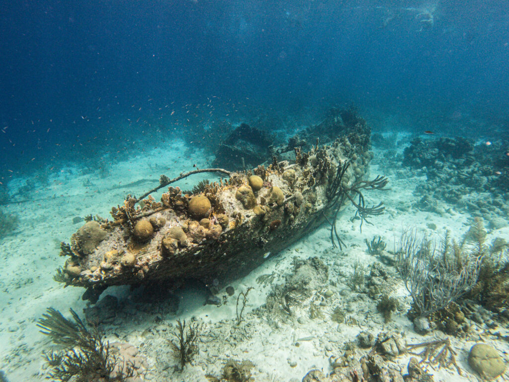 Snorkel SMALL GOPR1852