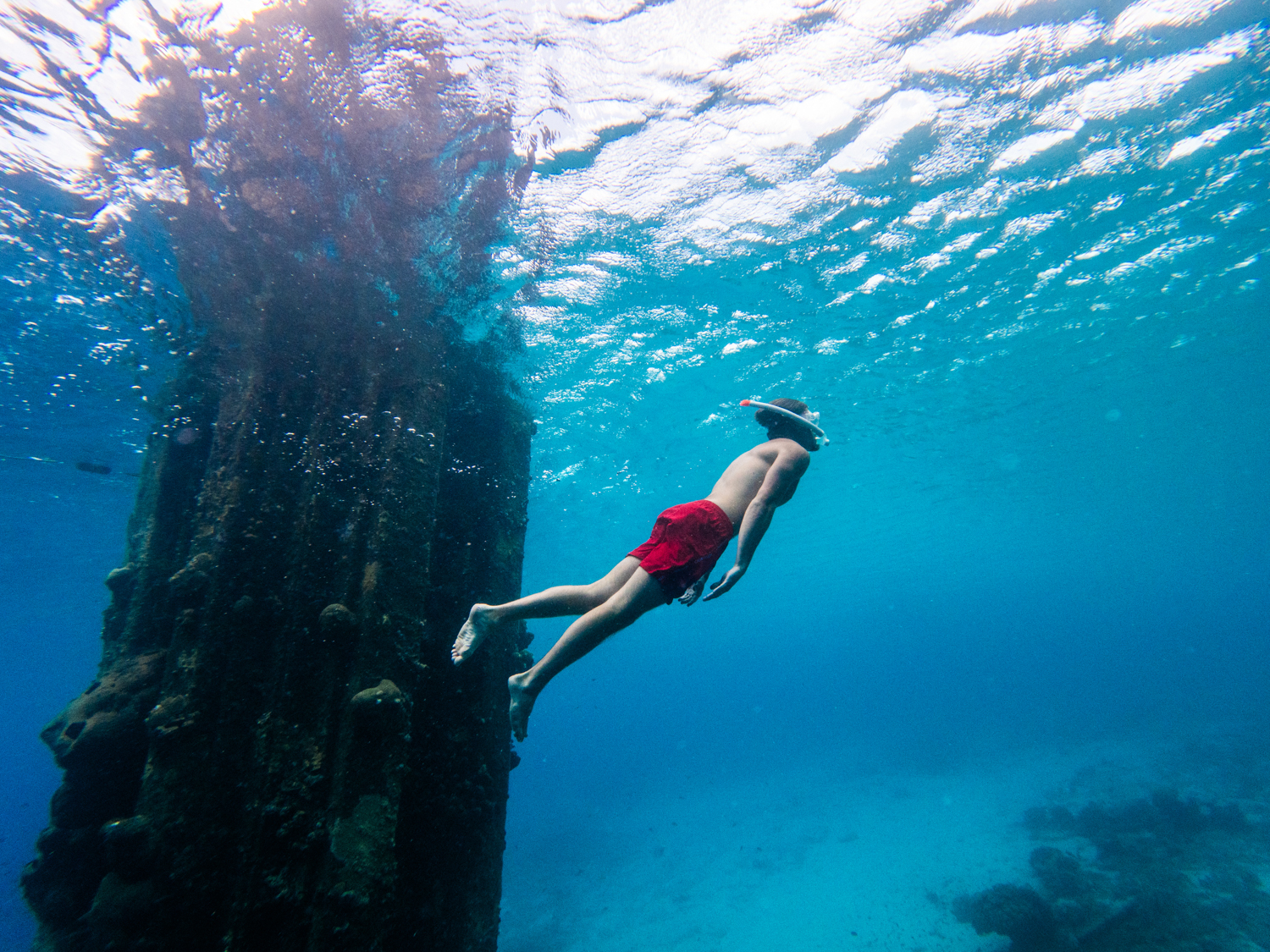 klein curacao couple