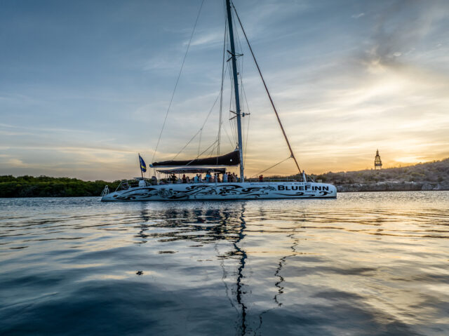 Catamaran sailing into the sunset