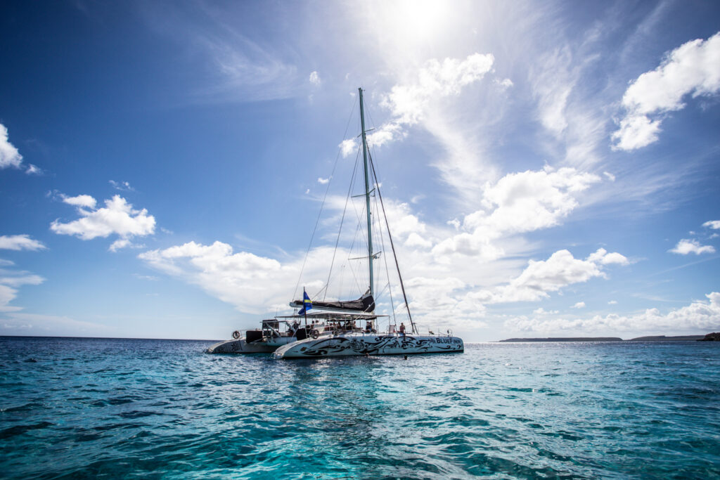 Westcoast SMALL VA 5563