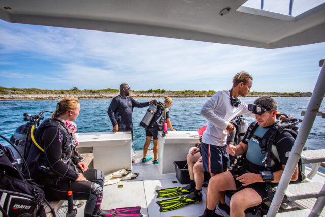people getting ready to dive