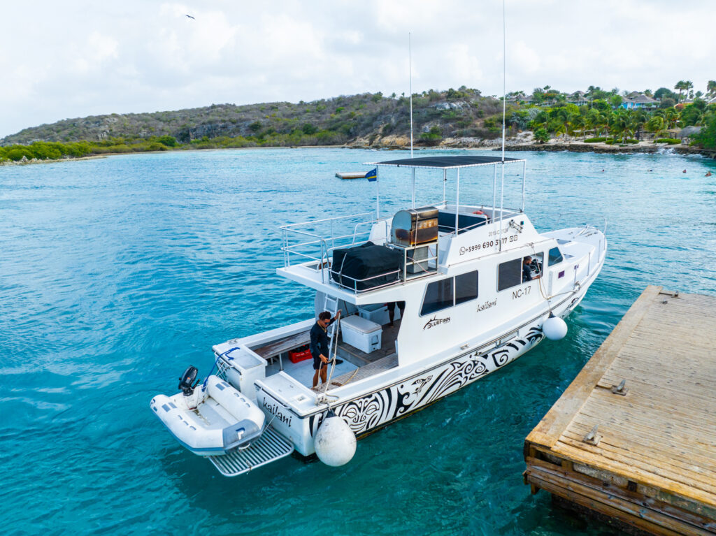 Kailani SMALL DJI 0171