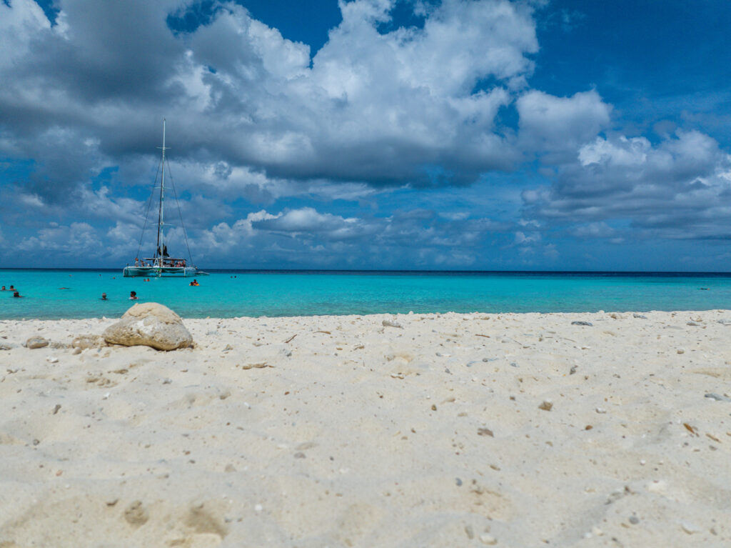 Westcoast SMALL DJI 0755