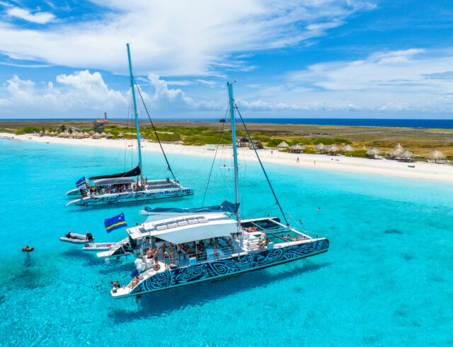 bluefinn boats in the water