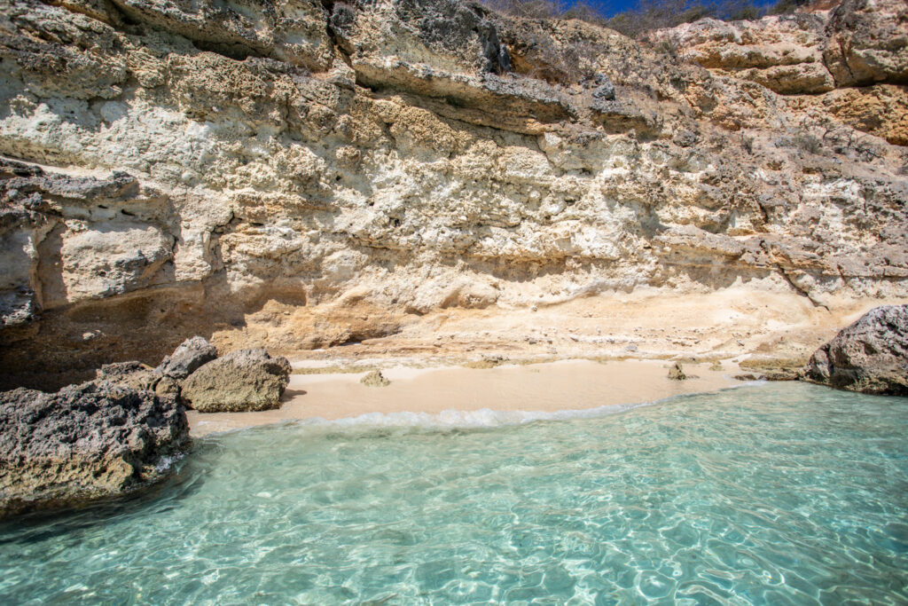 Westcoast SMALL VA 5551