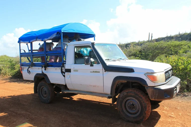sightseeing on the back of a white truck