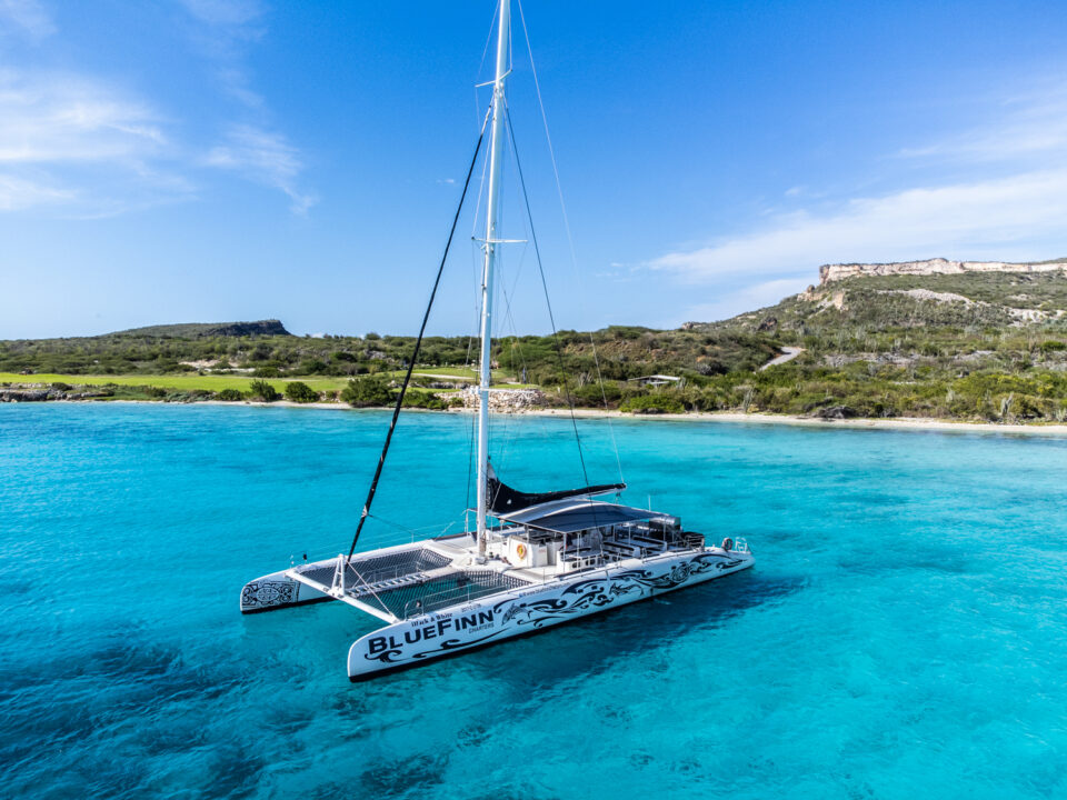 Bluefinn Catamaran in water
