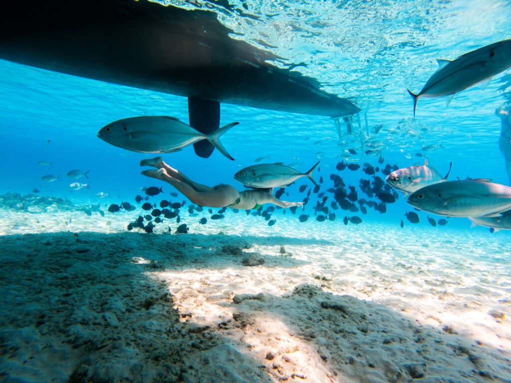 Klein Curacao GOPR1322 BlueFinn Charters