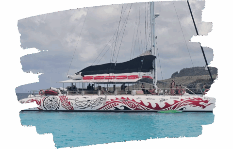 red dragon bluefinn charters