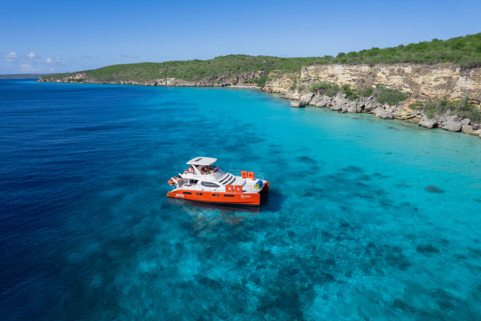 topcat bluefinn charters near cliff