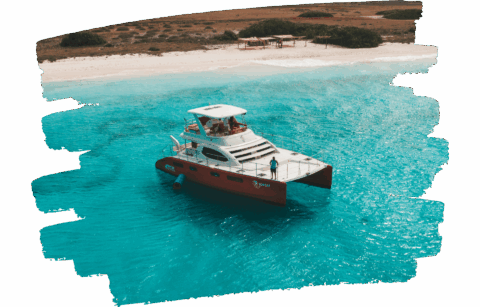 topcat bluefinn charters