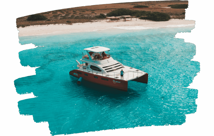 topcat bluefinn charters