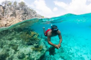 guy snorkeling