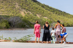 Group watching flamingo's