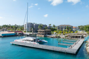 red dragon bluefinn by the harbour