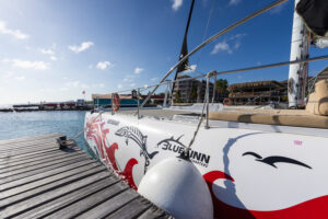 red dragon with dolphin graphic